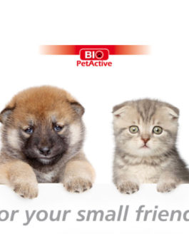 Bio Puppy Milk Powder