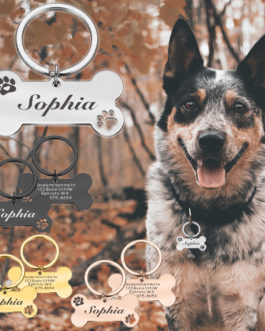 Customizable Pet Collar Address Tags with Engraving