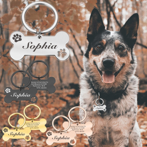 Customizable Pet Collar Address Tags with Engraving