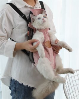 Pet Carrier Fashion Travel Bag