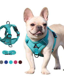 Reflective Nylon Dog Adjustable Harness