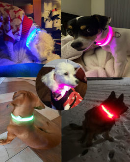 USB Rechargeable LED Glowing Dog Collar