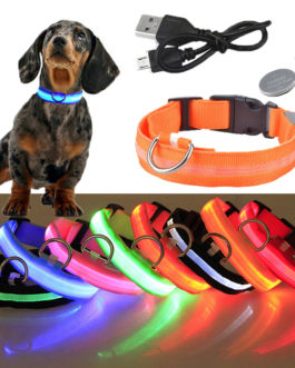 USB Rechargeable LED Glowing Dog Collar