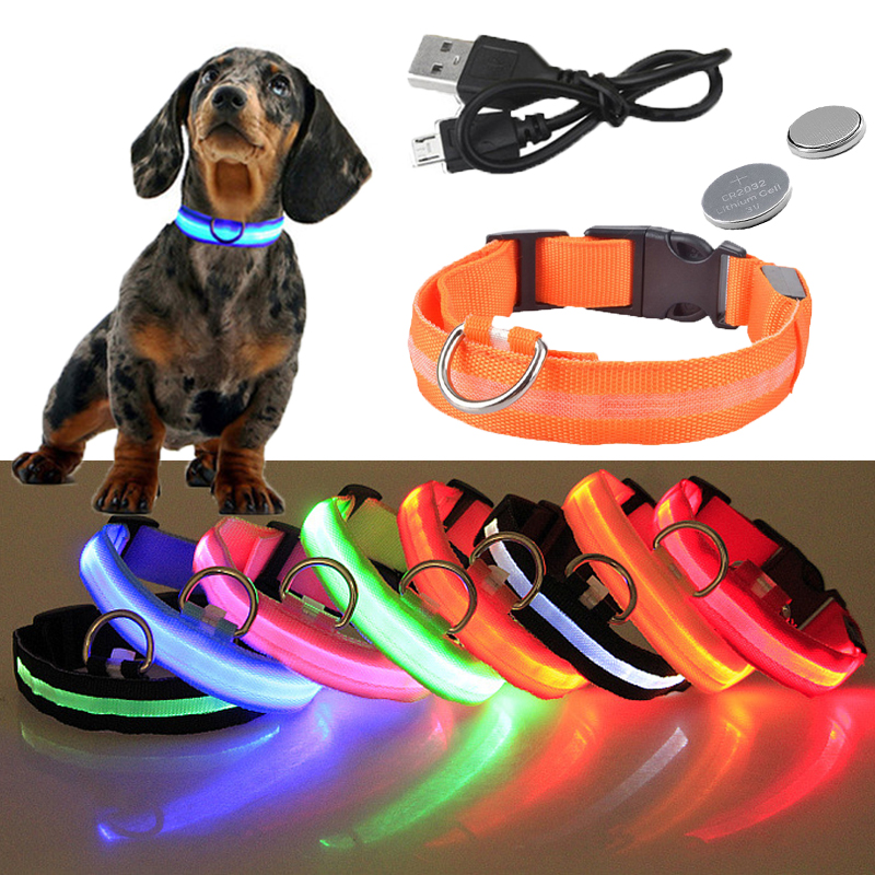 USB Rechargeable LED Glowing Dog Collar –