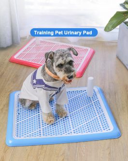 Dog Training Toilet Non-slip Urinal